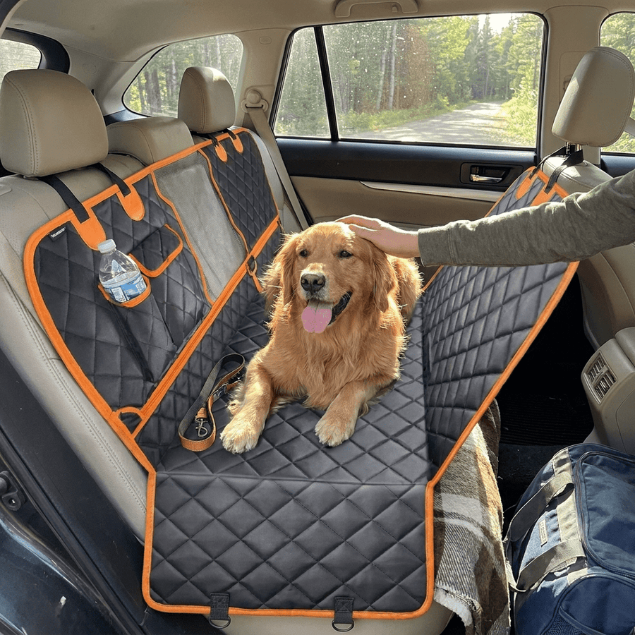 Summer Travel