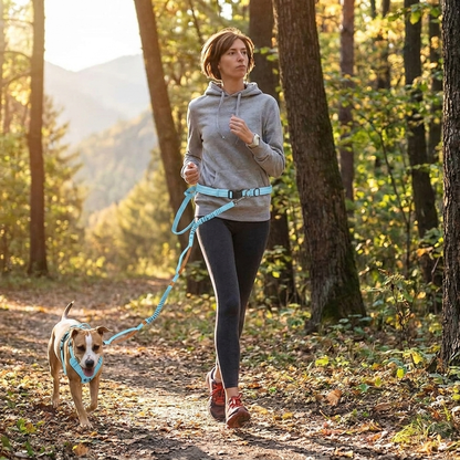 Dog on hiking trail using light blue Hands-Free Dog Leash with Harness - Furrwell Pets