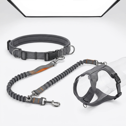Hands-Free Dog Leash with Harness studio product photo - Furrwell Pets