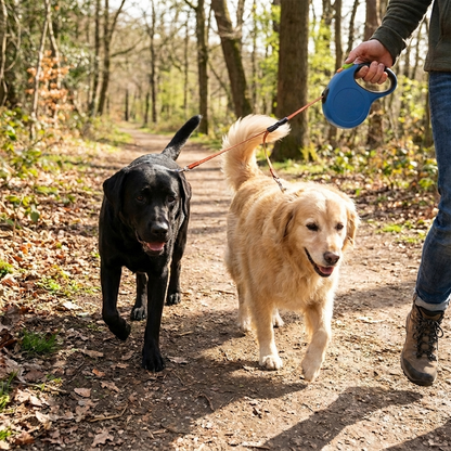 Retractable Dual Dog Walking Leash - Blue - Lifestyle