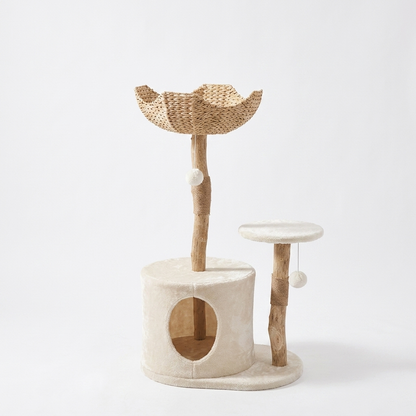 Natural Wood Cat Climbing Frame - studio product photo
