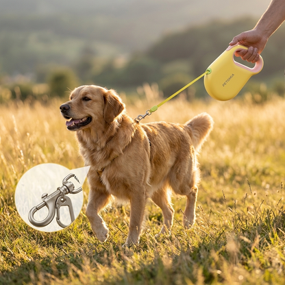 Dog walking on yellow automatic retractable leash - Lifestyle